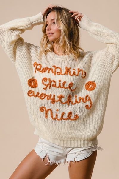Ivory Pumpkin Spice Everything Nice Knit Fall Thanksgiving Crew Pullover Sweater