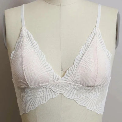 Ivory Butterfly Scalloped Lace Padded Bralette